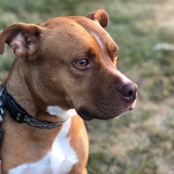 Like to BOOKMARK - Picture 3 of 5